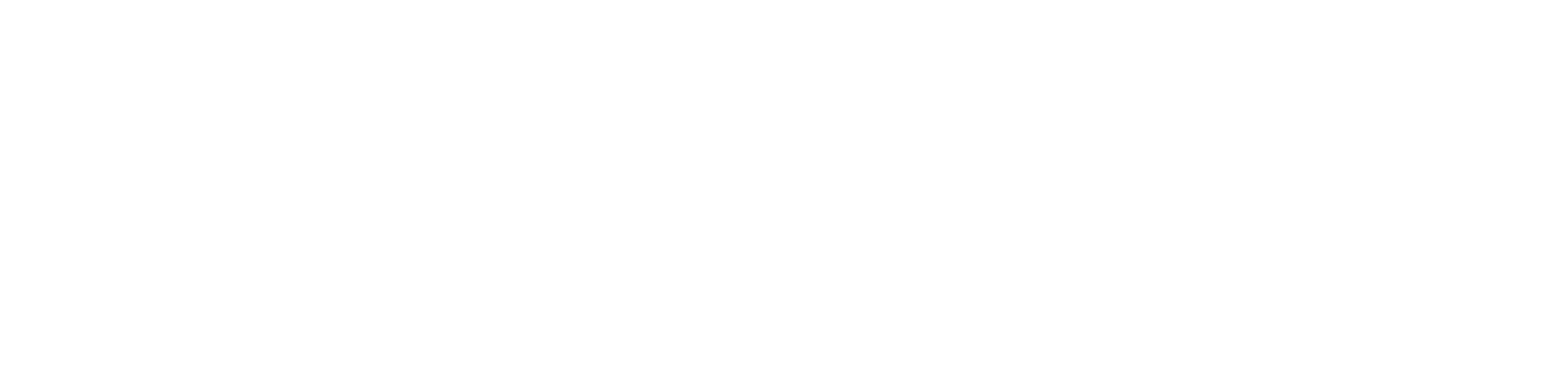 BMG_CO BRANDING_CUPRA_WHITE